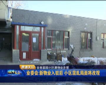 长春金泰嘉园小区管理陷窘境 垃圾成堆盼清理