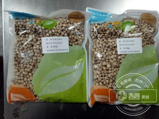 辣木种子 辣木种子
