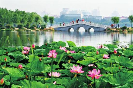 南湖公园