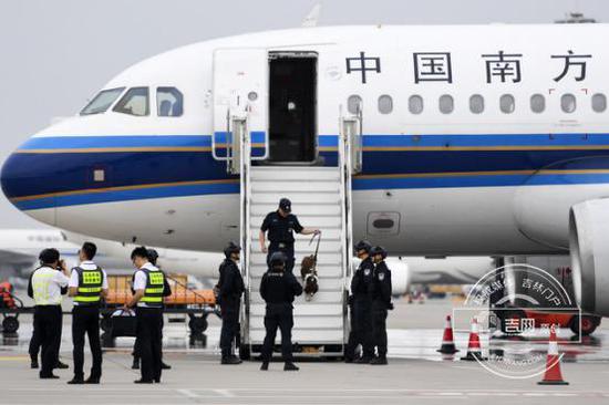 图片5.jpg 搜爆犬进行现场排爆