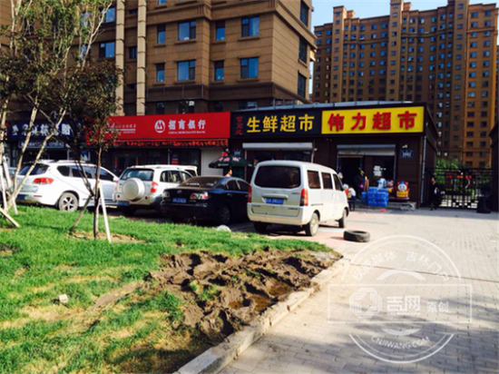 图片1_副本.png 实地踏查 被车轧过的草坪已不再翠绿