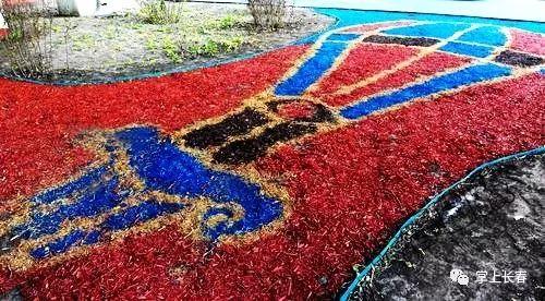 好厉害!这些扮美长春的图案 竟是生态有机覆盖物_新浪吉林_新浪网