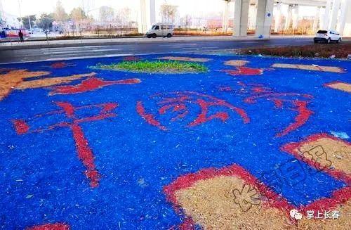 好厉害!这些扮美长春的图案 竟是生态有机覆盖物