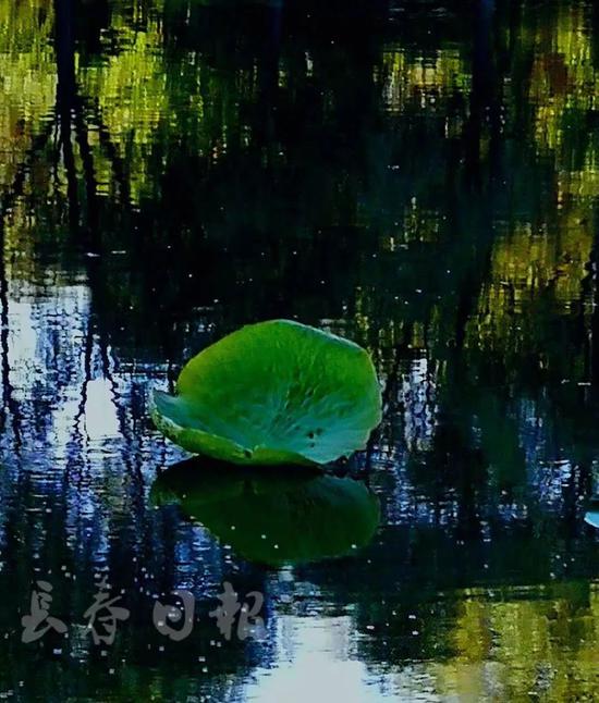 据预报