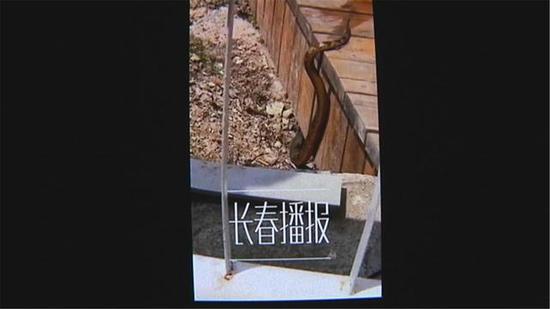 梦见男友行凶,我心惊胆颤,一场梦境的深层解析 梦见男友行凶,我心惊胆颤,一场梦境的深层解析