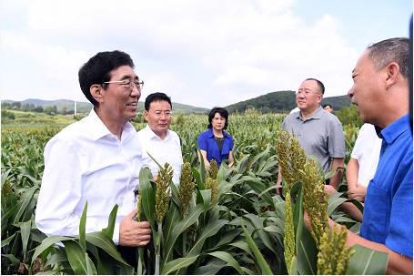 8月10日,巴音朝鲁在中科院辽河源生态农业研究与示范基地调研。宋锴/摄