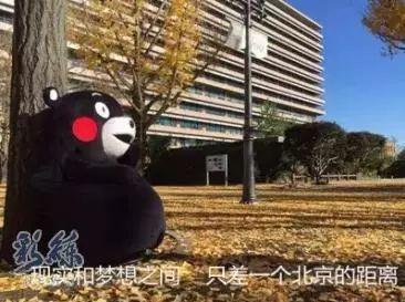 长春多大面积和人口_长春赵红林和梁旭东(2)