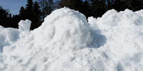 RL0F-fynstfh8368604.gif