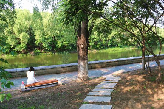 平静的湖面,伴着清爽微风、夏日香气,在这里看书,有着别样的享受。