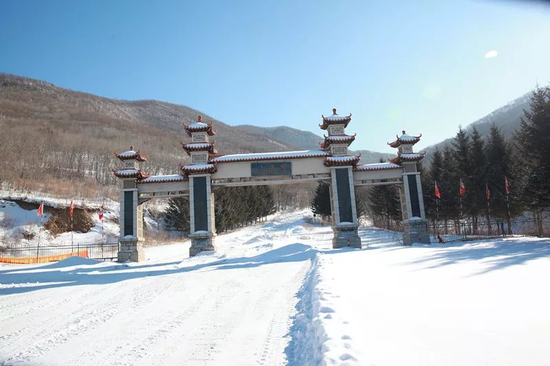 吉林通化快大多少人口_通化快大人参市场