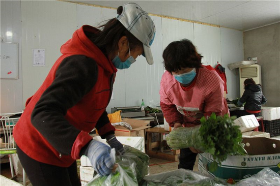 东盛涌镇太平村的裕兴蓝莓种植专业合作社