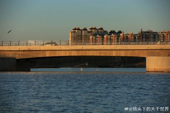 图片来源:@镜头跳的大千世界
