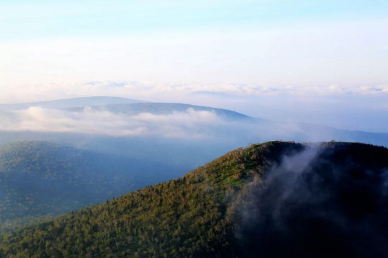 全国森林康养试点建设基地-黄泥河老白山