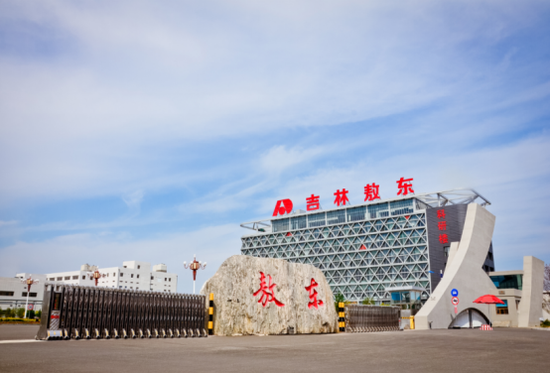 (2010年投资敖东工业园区)