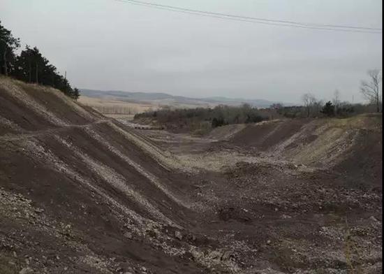 图3 旅游公路建设过程中3.7万株林木被违法砍伐