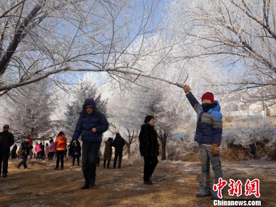 游客在欣赏雾凇美景（资料图） 苍雁 摄