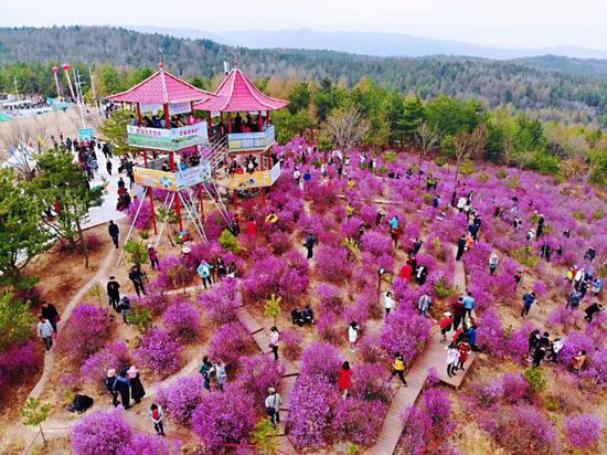 图片来源：龙井市文广旅局