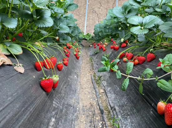 靖宇县人口_走进吉林,一个只有13万人口的县城—中国矿泉水之乡白山市靖宇县