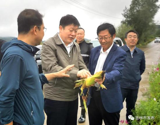 吉林市市长贺志亮（左二）在桦甸市桦郊乡查看农作物受灾情况，并指导科学补救。