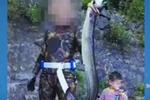 广西“鱼王”遭猎杀 猎鱼者照片和视频曝光