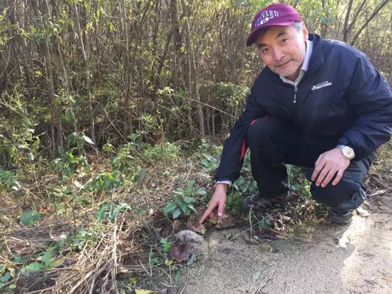 吉林日报社总编辑对话东北虎豹国家公园建设提