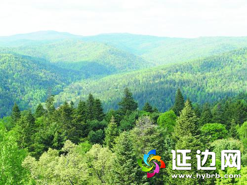 百万亩采育林