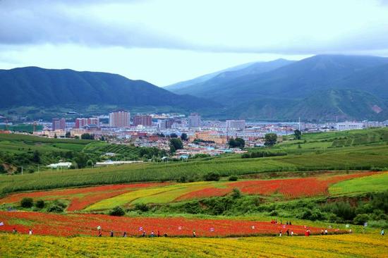 风景如画的日光山花海 李昕摄影