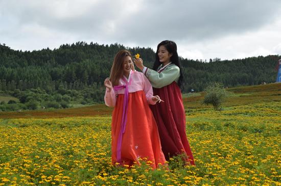 身着朝鲜族服装的女孩花海赏花 周和摄影