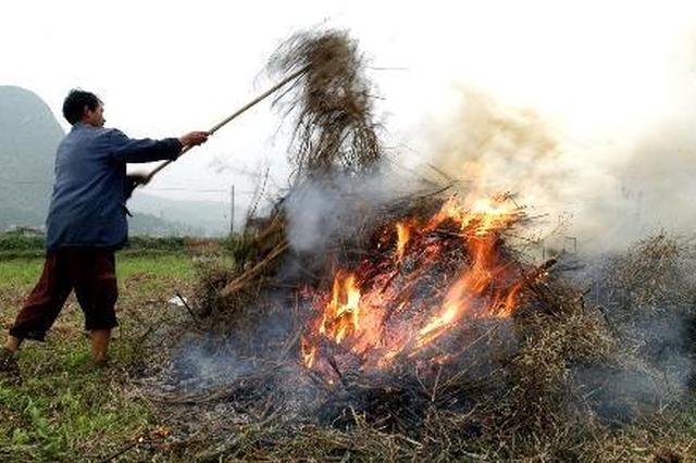 榆树辉南舒兰三县市存多处秸秆焚烧火点被要求整改