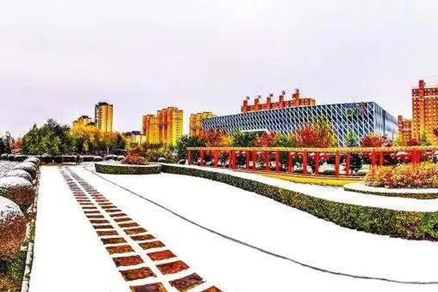 11月12日 白城市终于下了一场正儿八经的雪
