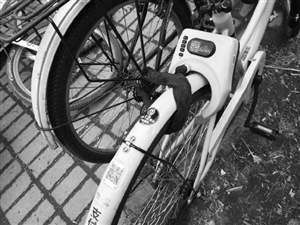被锁住的小黄车。市民供图