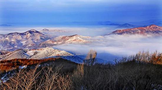 通化多少人口_通化疫情(2)