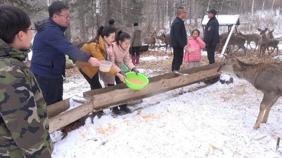 汪清兰家大峡谷国家森林公园自然教育学校（基地）。