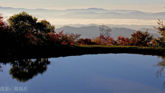 白山市区人口_白山茶图片