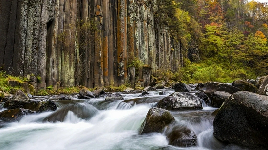 望天鹅风景区