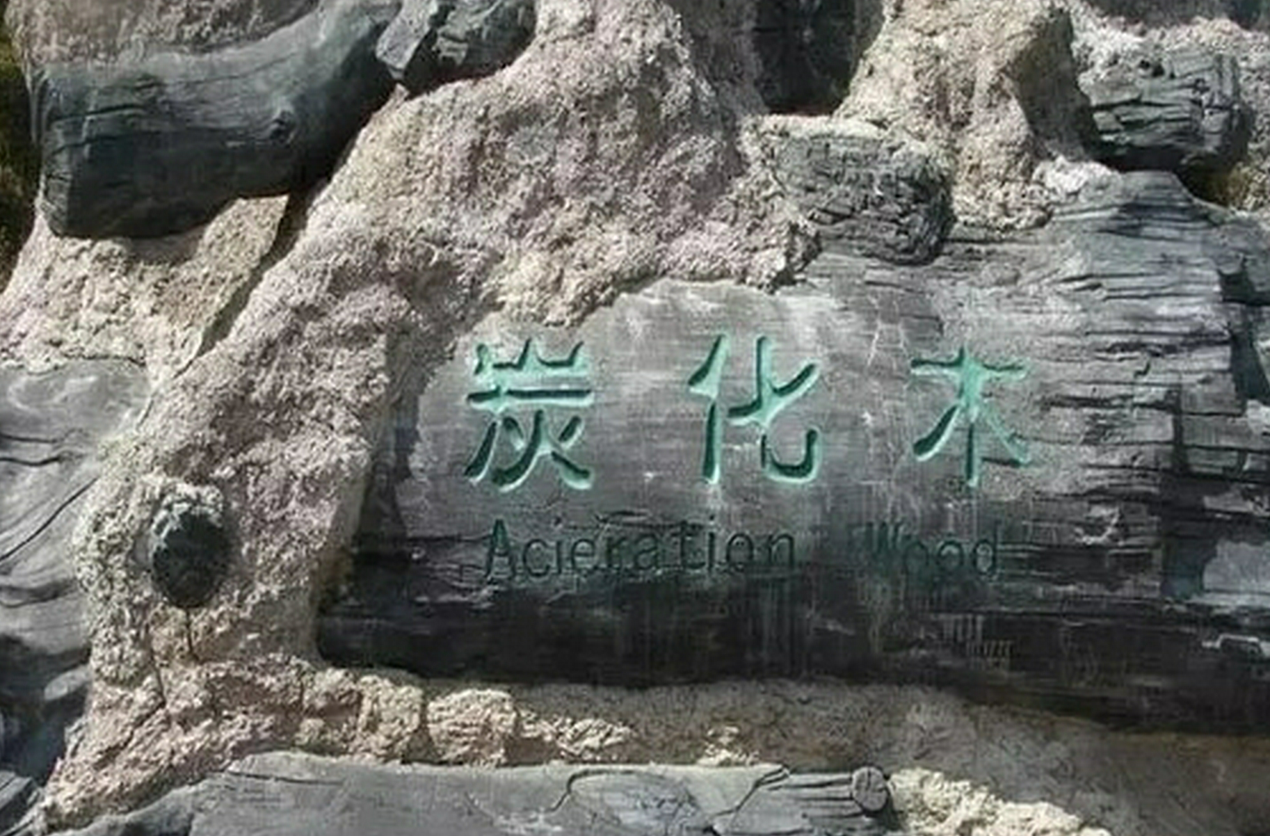 长白山北西南三景区该如何选