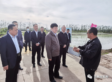 图为吉林市委书记贺志亮(中)在吉林市春新生态家庭农场调研。
