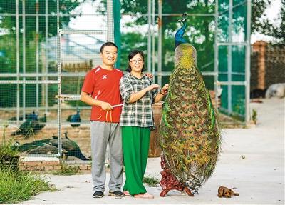 记者 张宇明 摄