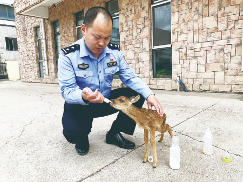 民警悉心呵护小狍子