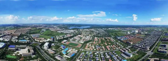 中国大网红排名2020_解读:2020中国酒类品牌价值排行,网红品牌被外资收购