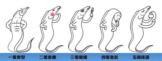 张蕊杨慧制图