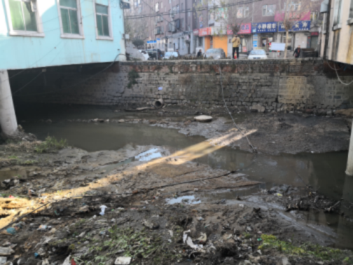 仙人河河道垃圾、粪污遍布,群众反映强烈。生态环境部供图