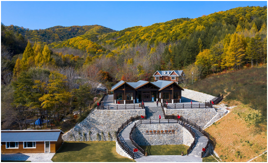 云岭野山参风景区