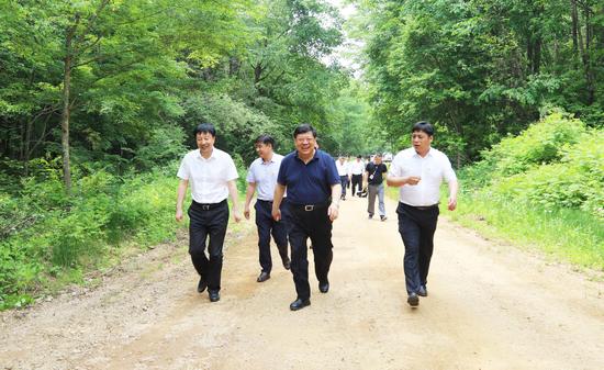 长白山森工集团党委书记董事长王连弟(左一)陪同省委常委、延边州委书记姜治莹调研森林旅游工作