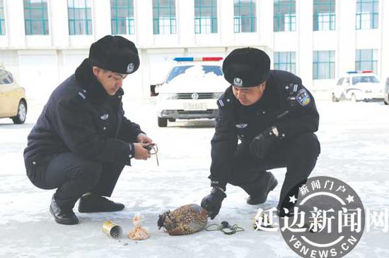 肇家星/图
