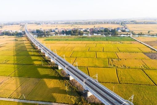 航拍九景衢铁路穿越金黄田野