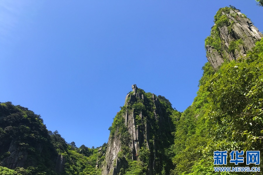 羊狮慕的老总_羊狮慕