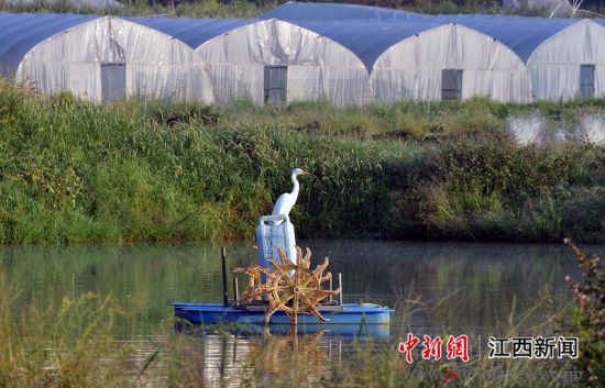 万载乡镇人口_万载古城图片