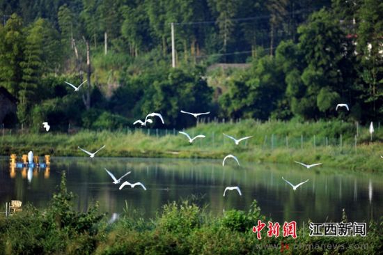 万载乡镇人口_万载古城图片