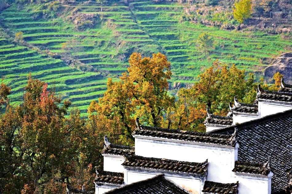 篁岭人口_篁岭图片